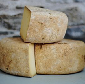 Cheese & Dairy